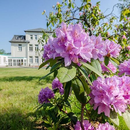 شيمنيتز Hotel Siegmar Im Geschaftshaus المظهر الخارجي الصورة