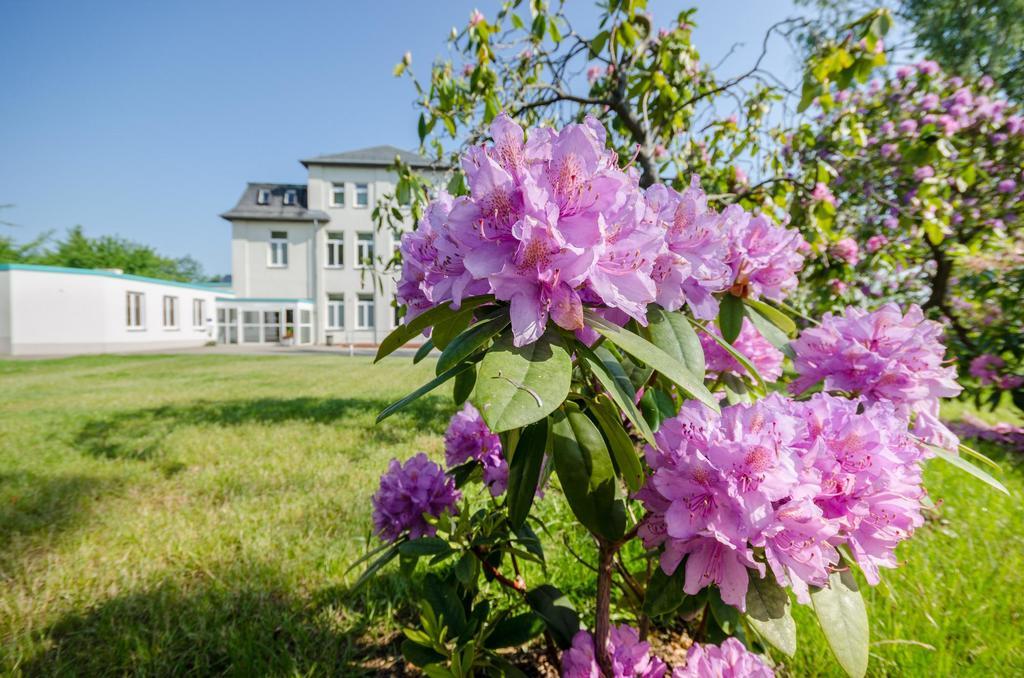 شيمنيتز Hotel Siegmar Im Geschaftshaus المظهر الخارجي الصورة